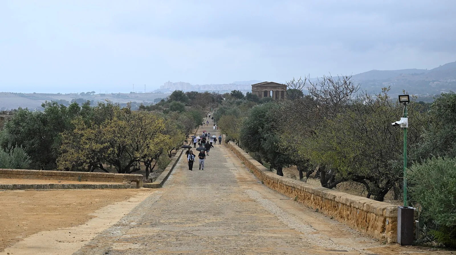 The Doric Temple of Concordia standing complete in the Valley of the Temples at Agrigento