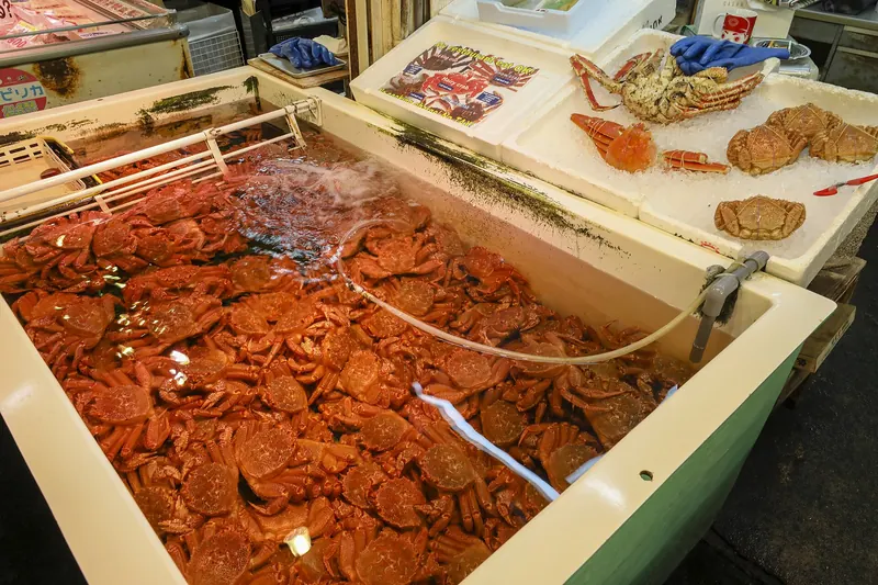 Fresh crab on display at a Hokkaido seafood market