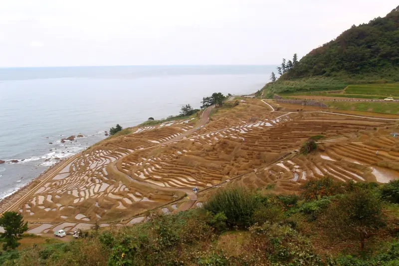 Terraced rice paddies on the Noto Peninsula