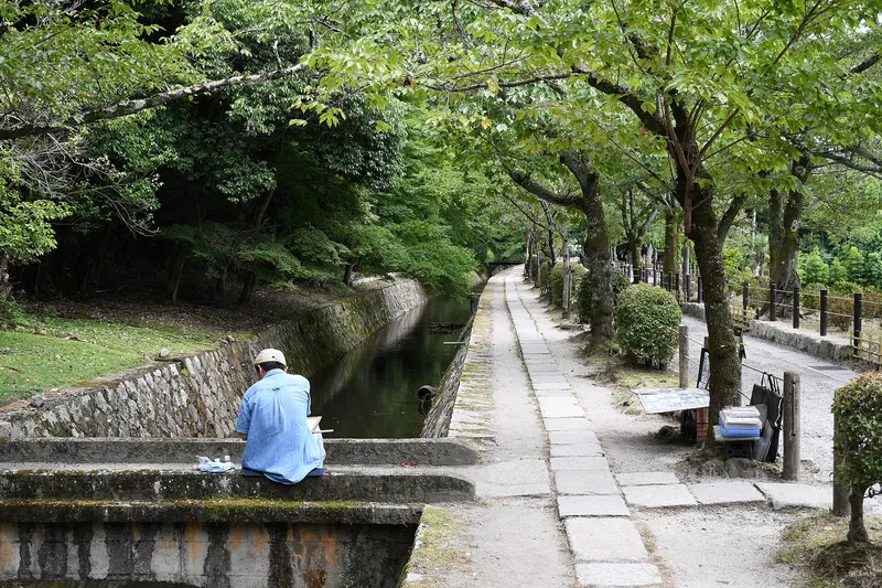 The canal-side Philosopher's Path in Kyoto