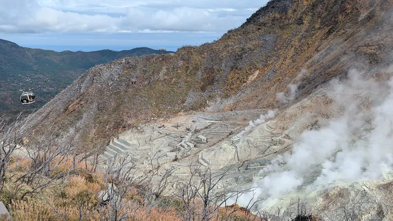 Steaming sulphur vents in the Owakudani volcanic valley