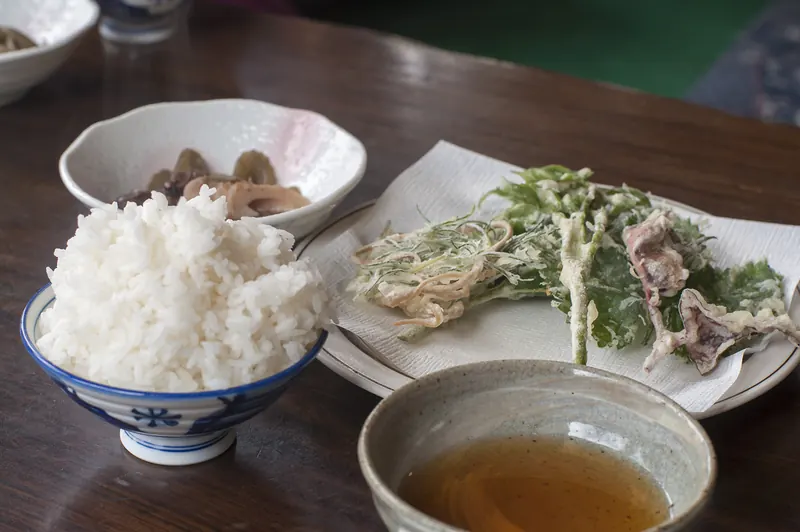 Sansai mountain vegetable tempura served with rice