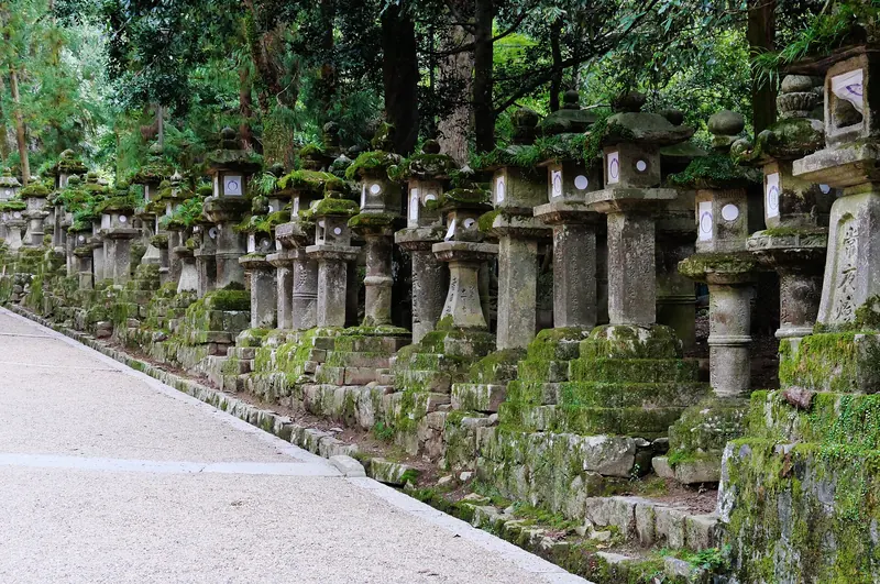 Rows of stone lanterns lining the approach to Kasuga Taisha