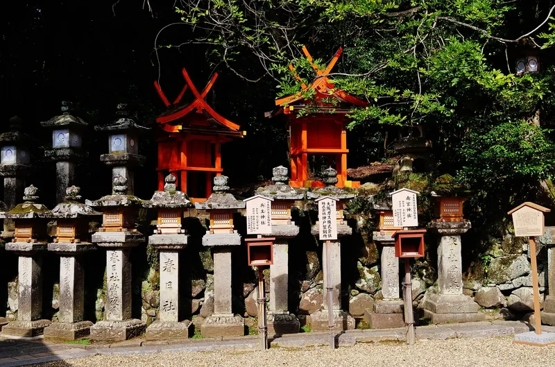 A forested lantern-lined path near Kasuga Taisha in Nara