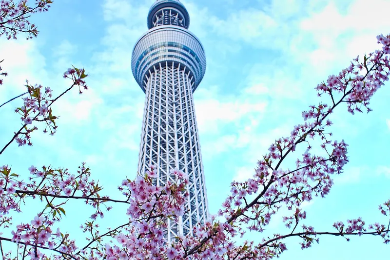 Tokyo Skytree rising above the city in spring