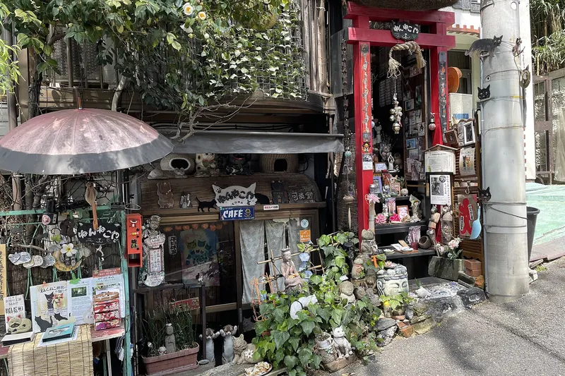 A cat café in Tokyo's Yanaka district