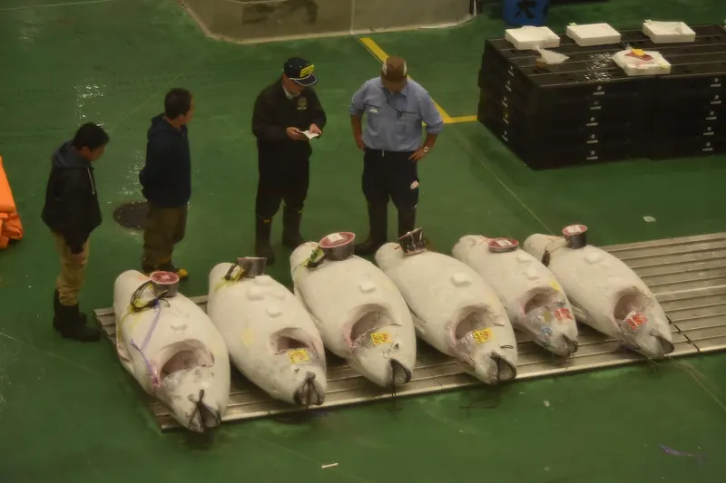 Tokyo's Toyosu fish market