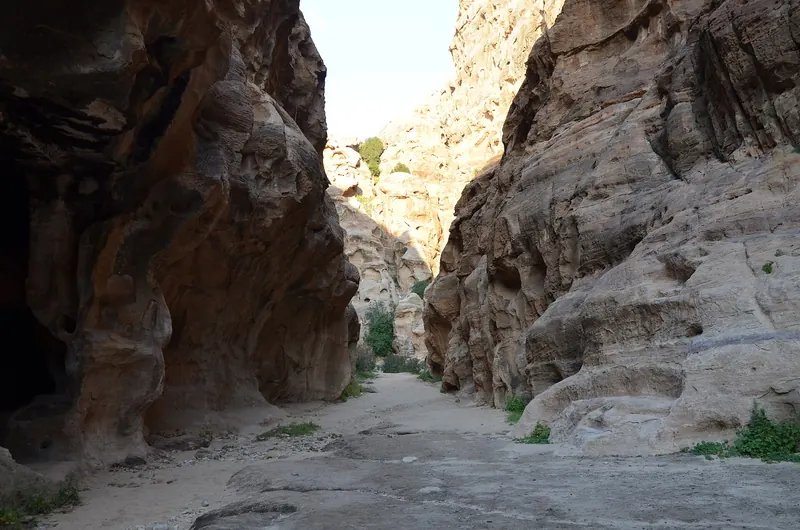 Rock-cut buildings at Little Petra