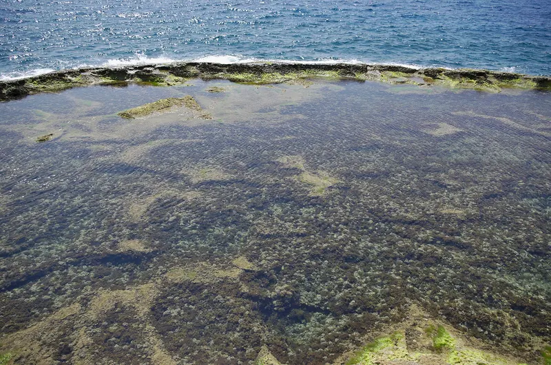 The harbour and old stone houses of Batroun on the Lebanese coast