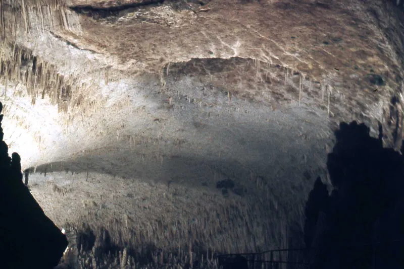 Limestone formations inside Jeita Grotto