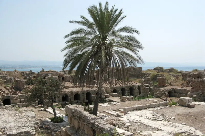Columns and paved streets of the Al Mina archaeological site in Tyre