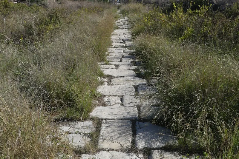 The Roman triumphal arch and paved road at Al Bass in Tyre
