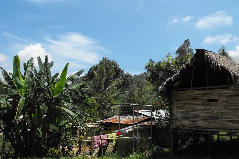 An Orang Asli village in the Cameron Highlands