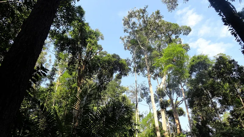 Semenggoh Wildlife Centre near Kuching