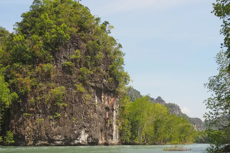 Mangrove waterways in Kilim Geoforest Park, Langkawi