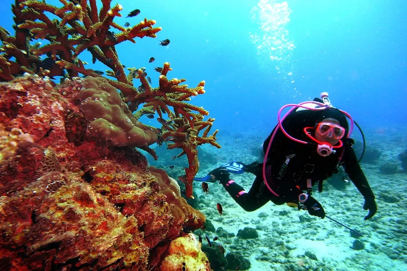 Scuba diving near the Perhentian Islands