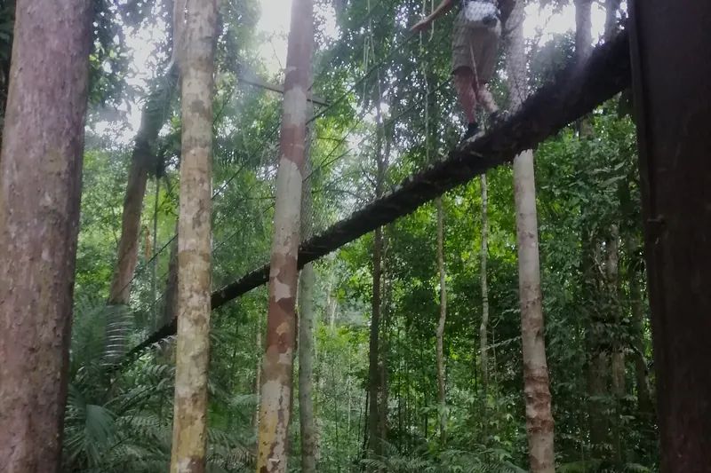 The starting point of the canopy walkway at Taman Negara