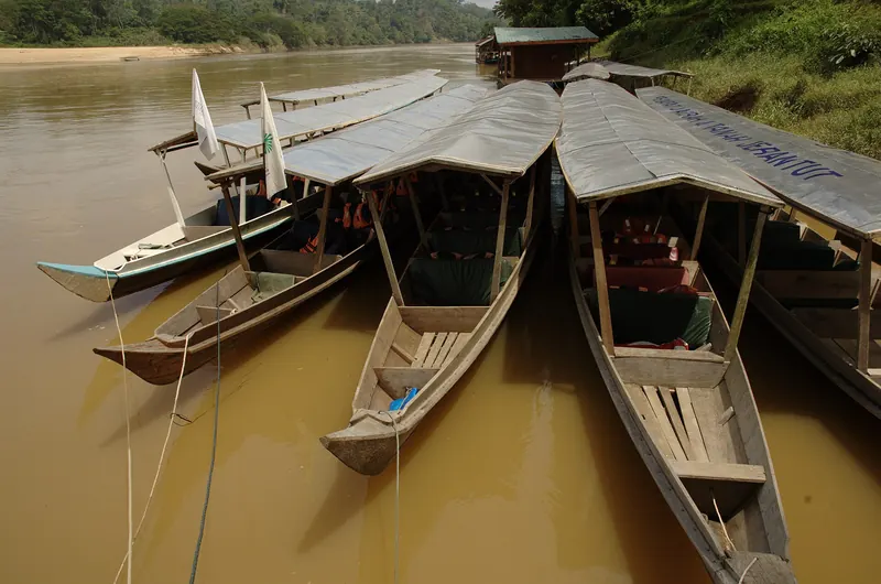 A boat departing from Kuala Tahan