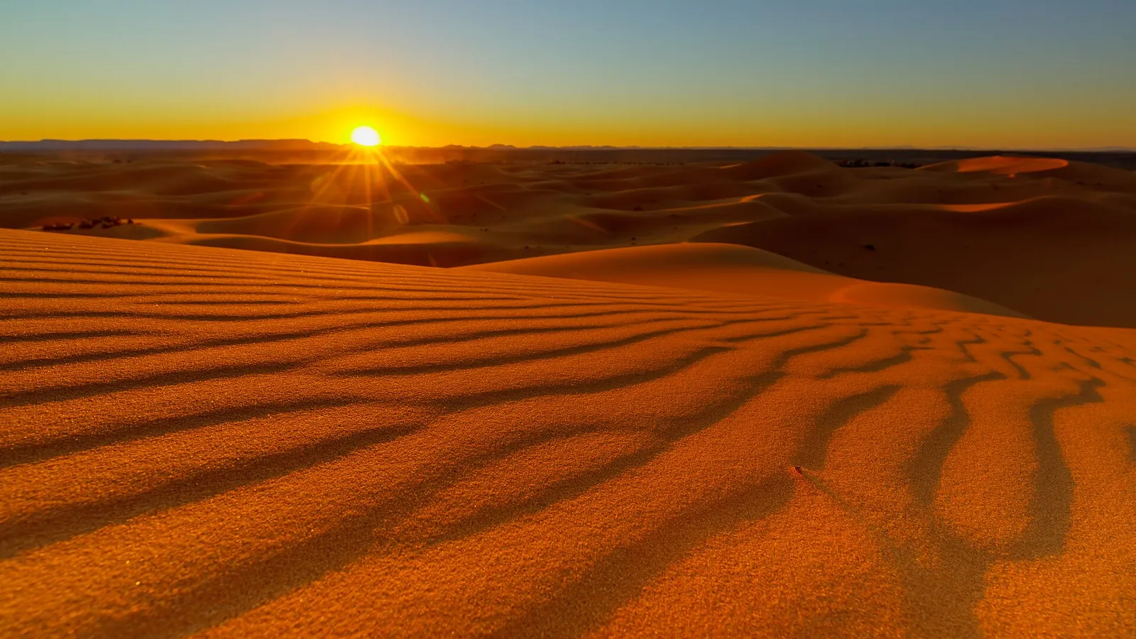 The dunes of Erg Chebbi in the Moroccan Sahara glowing at sunset