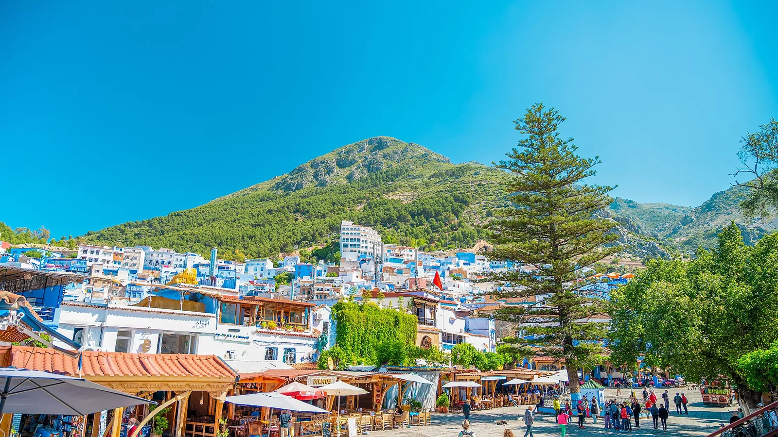 The blue houses of Chefchaouen with the Rif mountains rising behind