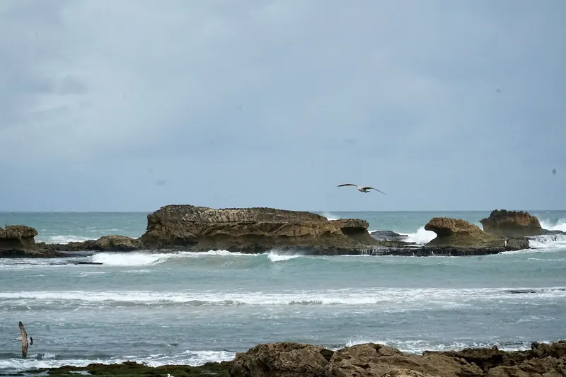 The long sandy beach at Essaouira with the town in the distance