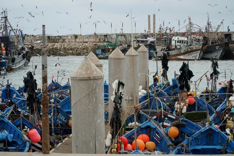Blue fishing boats in the port of Essaouira with the town walls behind