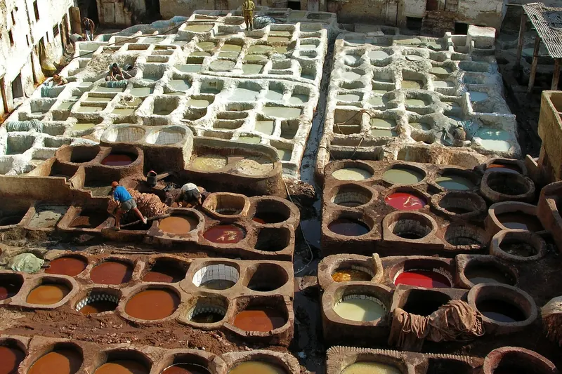The colourful stone vats of the Chouara tannery in Fes, seen from above