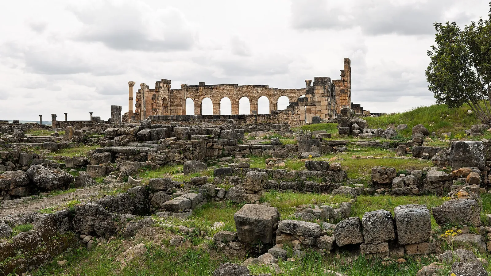 The Roman ruins of Volubilis with columns and the surrounding olive plain
