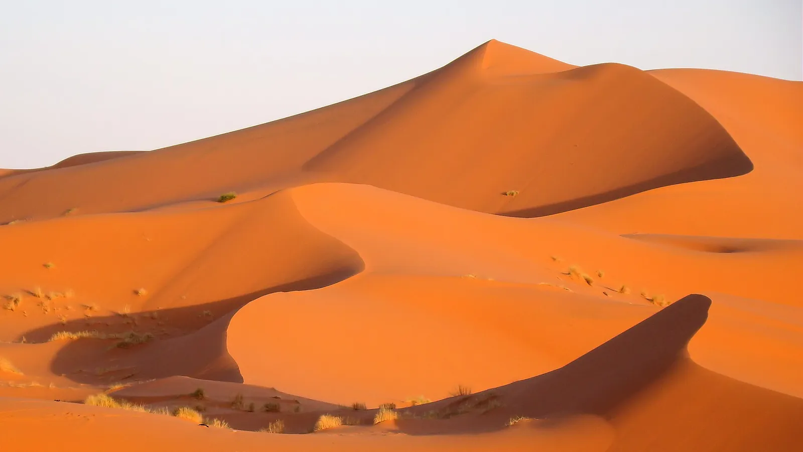 The orange sand dunes of Erg Chebbi near Merzouga in the Moroccan Sahara
