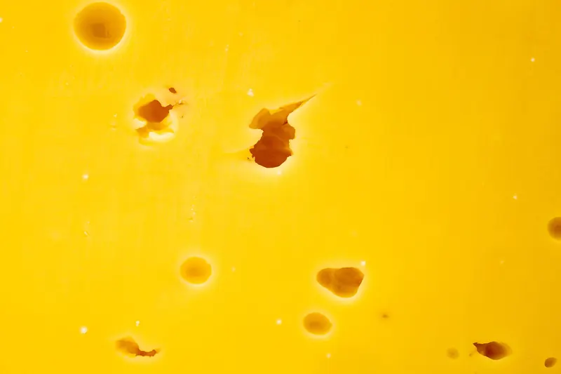 Wheels of Gouda cheese on display