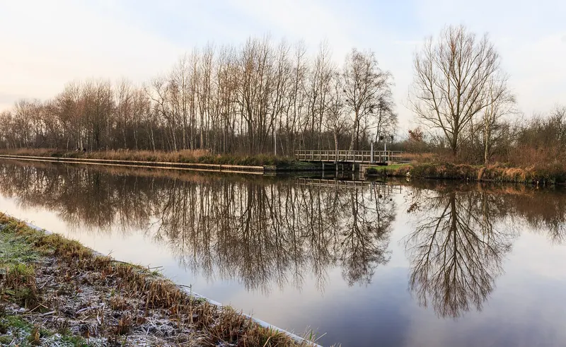 Still water and reed marsh in the Weerribben-Wieden National Park near Giethoorn