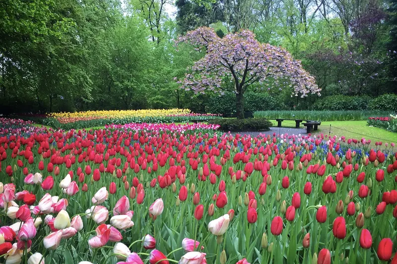 Flower displays inside one of Keukenhof's indoor pavilions