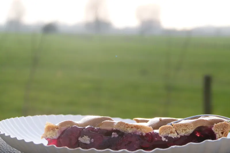 Limburgse vlaai, a traditional fruit-filled pie from the Limburg region