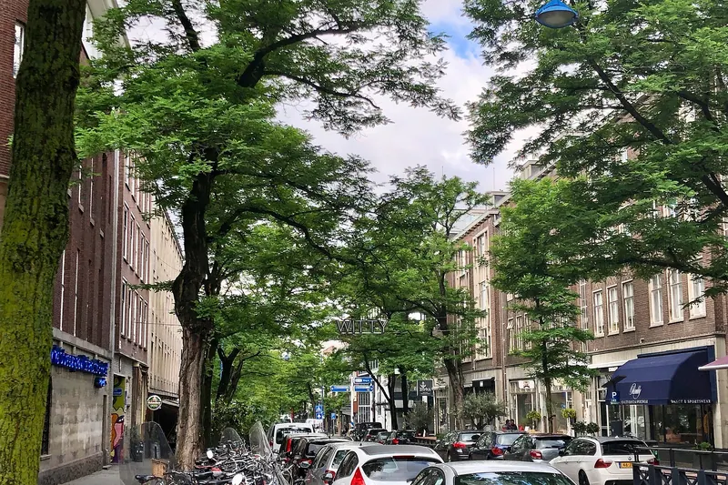 Bars and galleries along Rotterdam's Witte de Withstraat