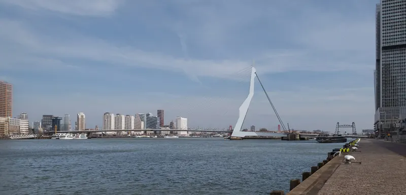 The Erasmusbrug and skyline seen from the Kop van Zuid district