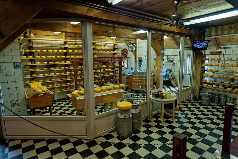 Traditional cheese-making demonstrated at the Catharina Hoeve farm in Zaanse Schans