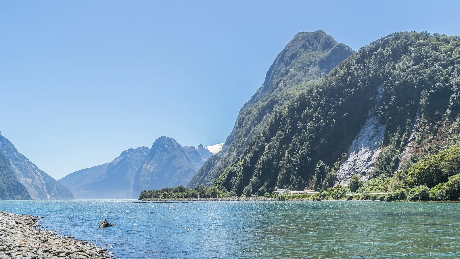 Mitre Peak rising above the still waters of Milford Sound