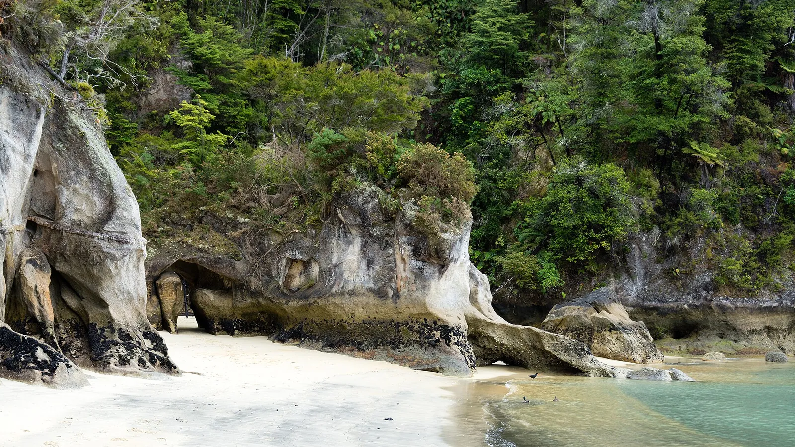 The golden sand of Anchorage Bay in Abel Tasman National Park