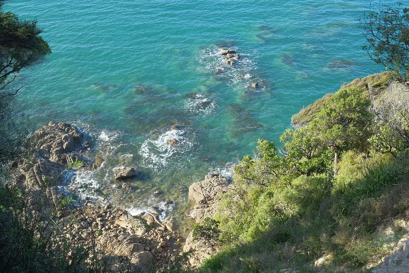 A view along the Abel Tasman Coast Track