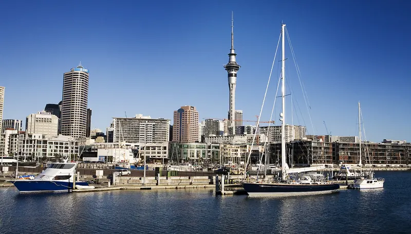 Sailboats in Westhaven Bay with the Sky Tower rising above Auckland's skyline