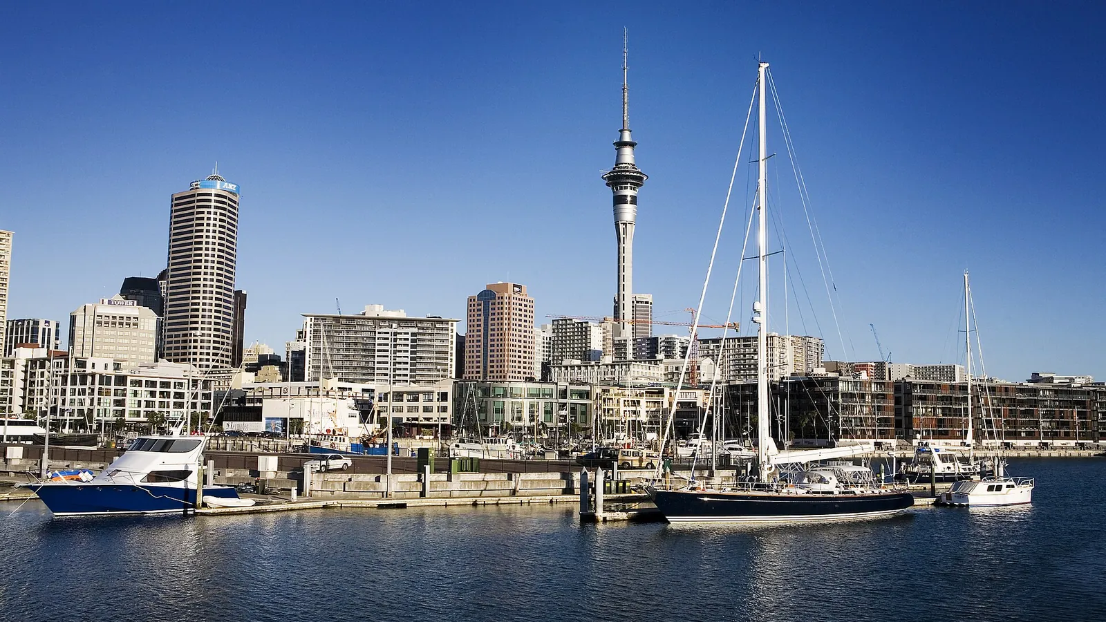 Sailboats in Westhaven Bay with the Sky Tower rising above Auckland's skyline