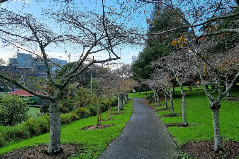 Green lawns and gardens in Auckland's Domain park