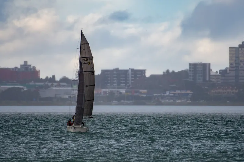 Yachts sailing on Auckland's Waitematā Harbour