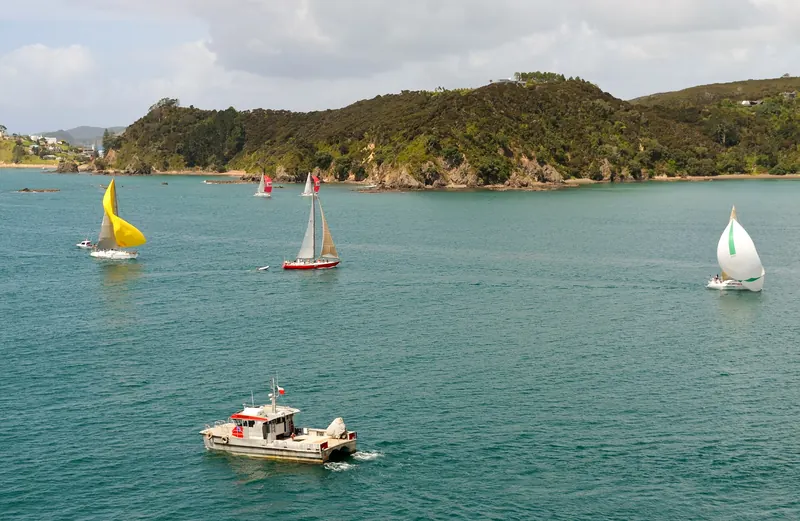 Sailboats on the water in the Bay of Islands