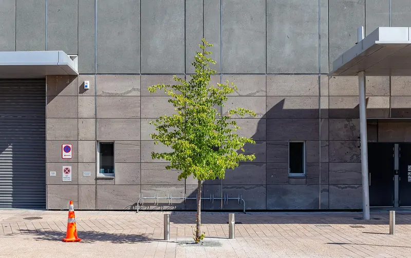 The modern glass exterior of the Christchurch Art Gallery