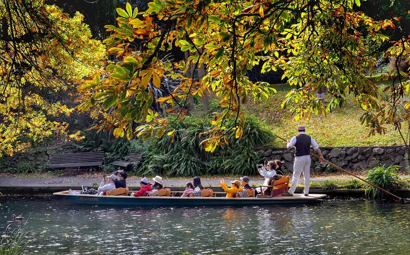 Punts gliding along the willow-lined Avon River in Christchurch