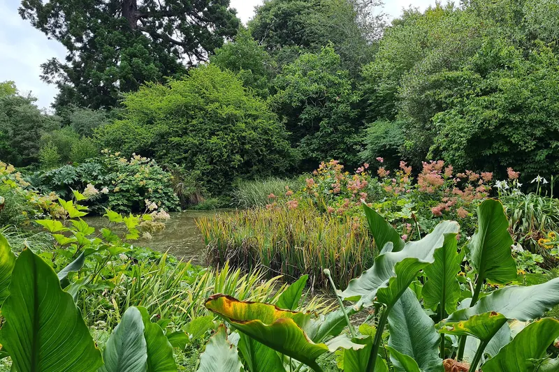 The water garden within the Christchurch Botanic Gardens