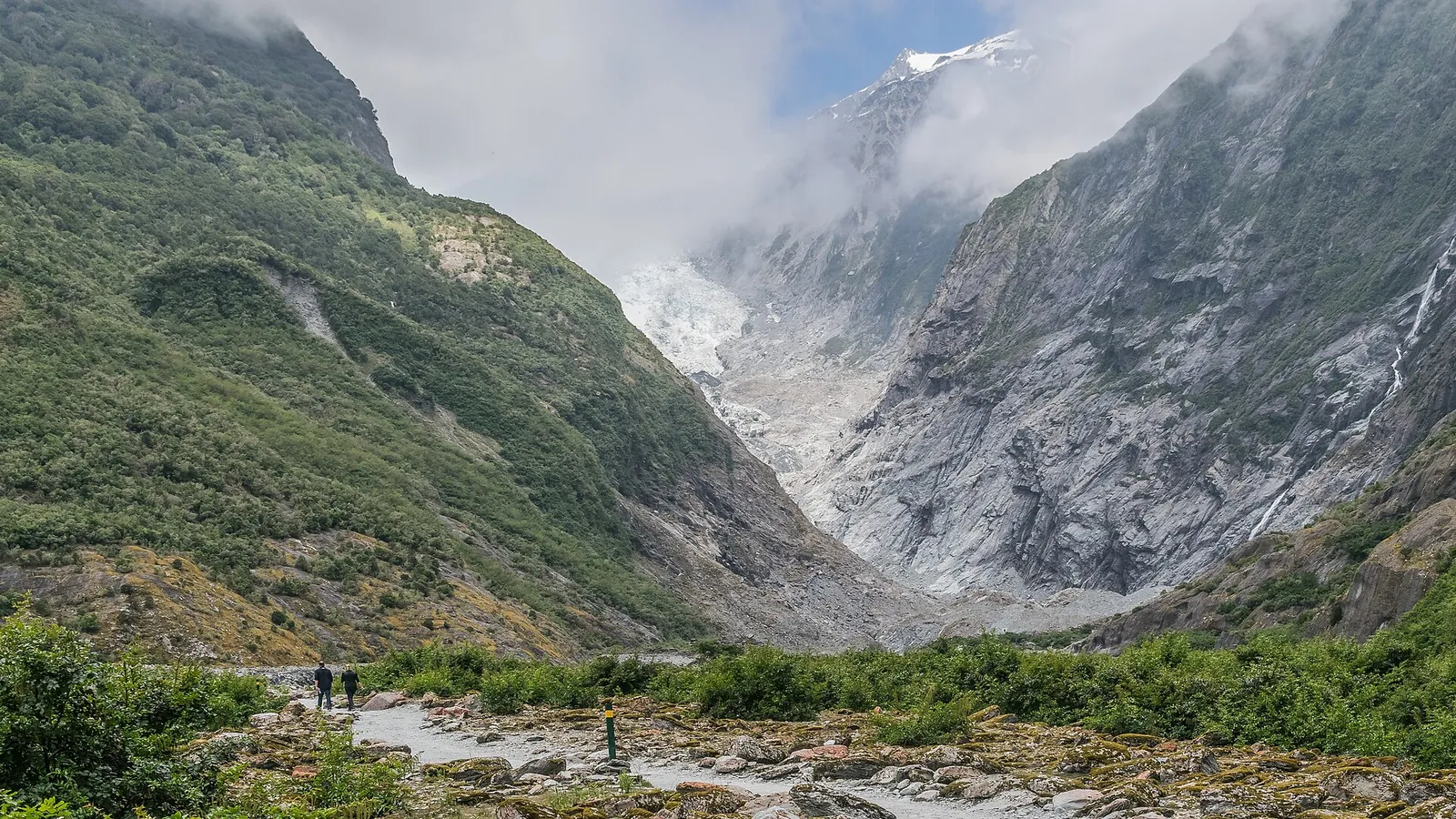 Franz Josef Glacier descending from the Southern Alps