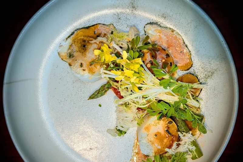 A plated blue cod dish, a South Island seafood staple