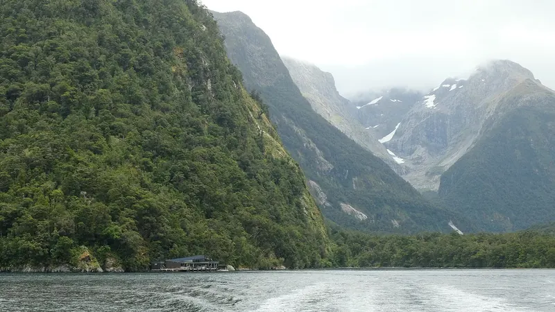 The Milford Sound Underwater Observatory at Harrison Cove